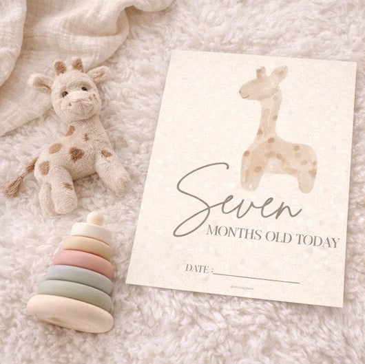 33 Baby Milestone Cards - Digital Download